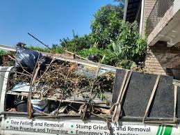 Best Residential Junk Removal  in Mexico, IN