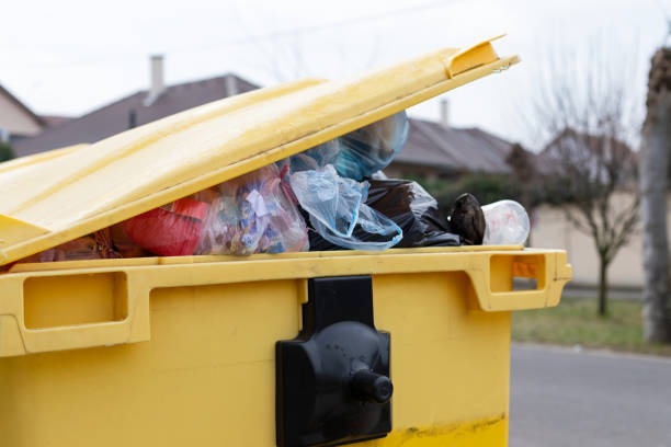 Best Junk Removal for Events  in Mexico, IN